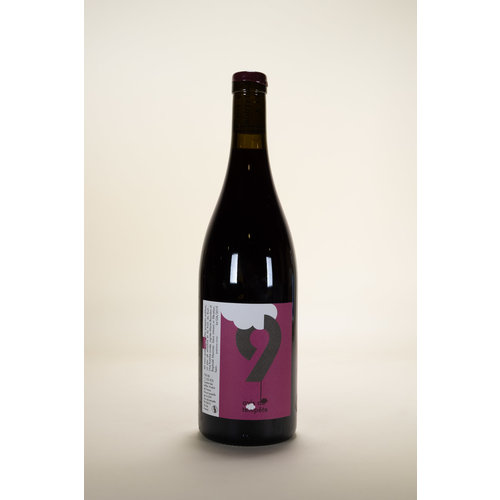 Raphaël Monnier, Avis de Tempete, Gamay, 2019, 750ml Raphaël Monnier, Avis de Tempete, Gamay, 2019, 750ml