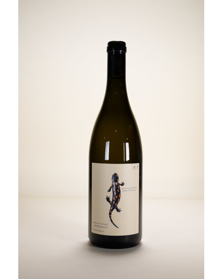 Andreas Tscheppe, Salamander, 2020, 750ml