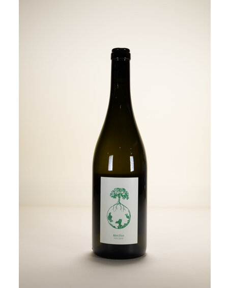 Weingut Werlitsch Weingut Werlitsch, Morillon vom Opok Steirerland White, 2021, 750 ml