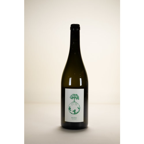 Weingut Werlitsch, Morillon vom Opok Steirerland White, 2021, 750 ml