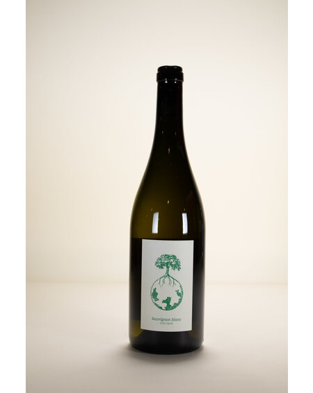 Weingut Werlitsch Weingut Werlitsch, Sauvignon Blanc vom Opok Steirerland White, 2021, 750 ml