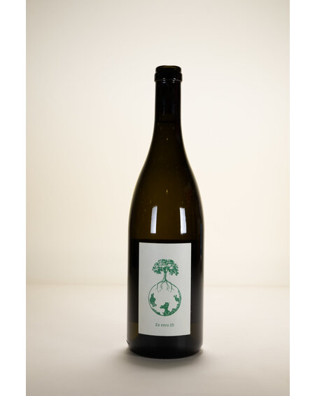 Weingut Werlitsch Weingut Werlitsch, Welschriesling vom Opok Steirerland White, 2020, 750 ml
