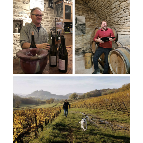 Past Class: Jura(ssic) Wines with Neil Rosen