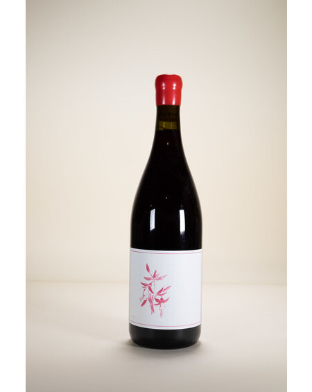 Arnot-Roberts, Pinot Noir, Peter Martin Ray Vineyard Santa Cruz, 2021, 750 ml