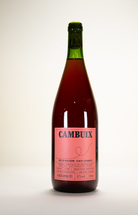 Cati Ribot, Cambuix, 2024, 1L