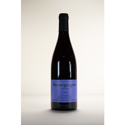 Domaine Sylvain Pataille, Bourgogne Rouge, 2019, 750ml