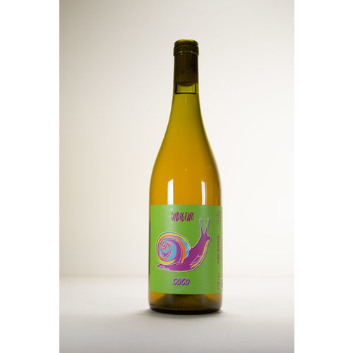 Cantina Indigeno, Coco, 2020, 750ml Cantina Indigeno, Coco, 2020, 750ml