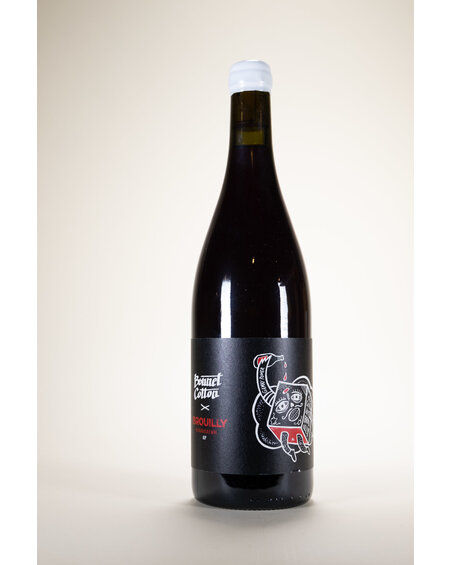 Bonnet Cotton, Brouilly, 100% Cotton, 2021, 750 ml