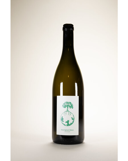 Weingut Werlitsch Weingut Werlitsch, Sauvignon Blanc Steirerland White, 2019, 750 ml