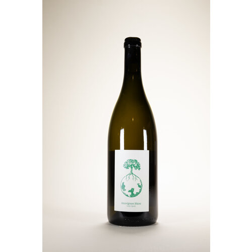 Weingut Werlitsch, Sauvignon Blanc Steirerland White, 2019, 750 ml