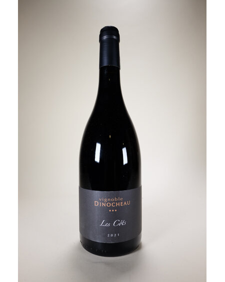 Vignoble Dinocheau, Les Cots, Touraine, 2021, 750 ml