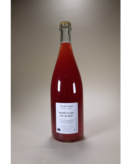 Anders Frederik Steen, Should we just rely on luck? VDF Rose, 2022, 750 ml