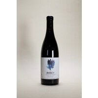 Thomas Pico, Les Pinots Blacks, Irancy Vallee de Coigny, 2022, 750ml