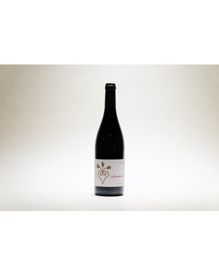 Noella Morantin, VDF La Boudinerie, Gamay, 2022, 750 ml