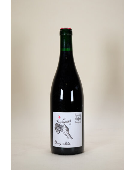 Romuald Valot, Chrysalide, 2024, 750ml