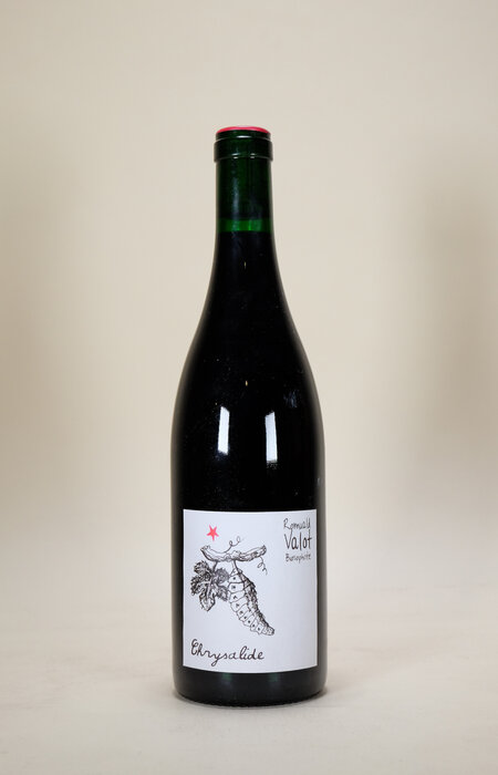 Romuald Valot, Chrysalide, 2024, 750ml