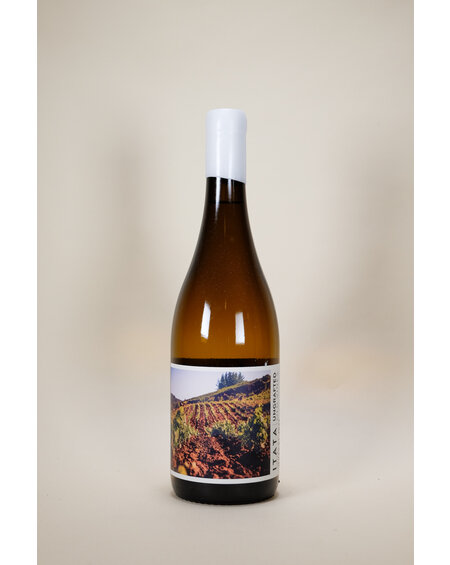 Ungrafted, Old Vine Muscat, Itata Valley, 2023, 750 ml