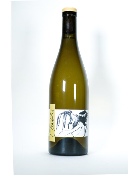 FW-Thomas Pico, Pattes Loup, Vent d'Ange Chablis, 2022, 750ml