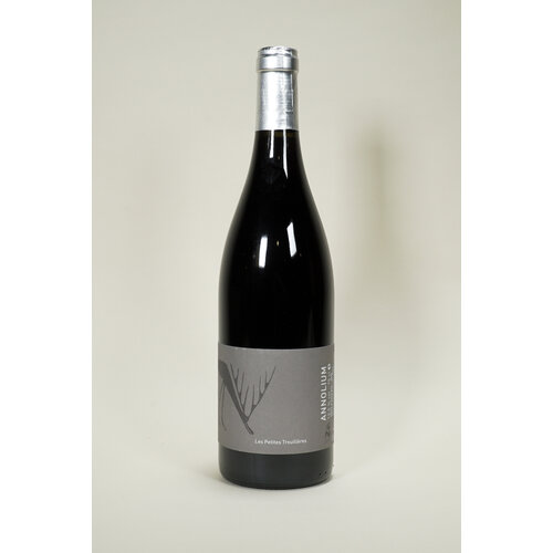 Domaine Trouilleres, Cotes D'Auvergne Rouge, Gamay, 2022, 750 ml Domaine Trouilleres, Cotes D'Auvergne Rouge, Gamay, 2022, 750 ml