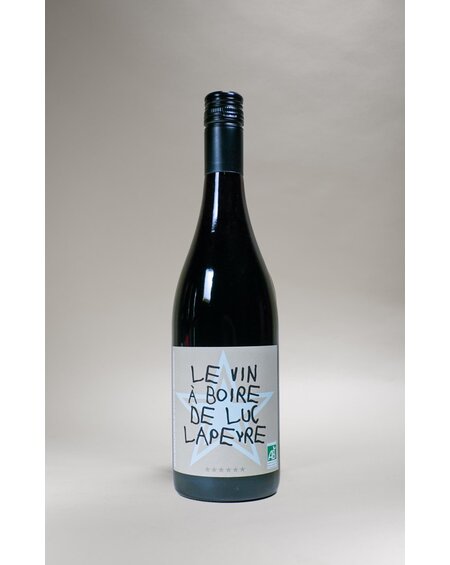 Domaine Luc Lapeyre, Les Vin Boire De Luc Lapeyre, VDF, 2022, 750 ml