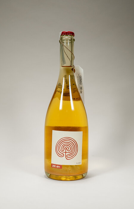 Costadila, Vino Bianco Frizzante, 280slm, 2022, 750 ml Costadila, Vino Bianco Frizzante, 280slm, 2022, 750 ml