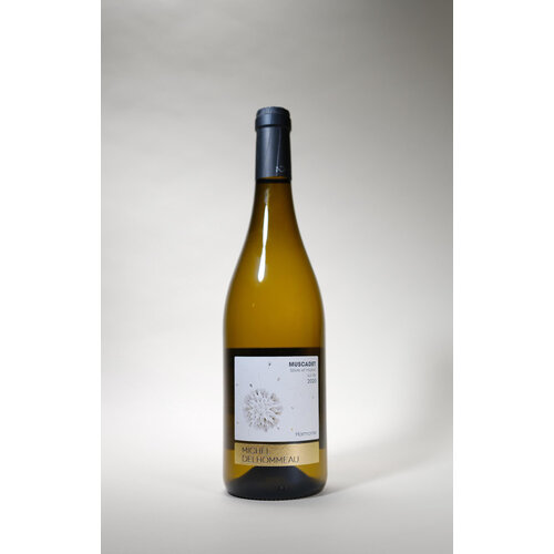 Michel Delhommeau, Harmonie, Muscadet, 2020, 750 ml