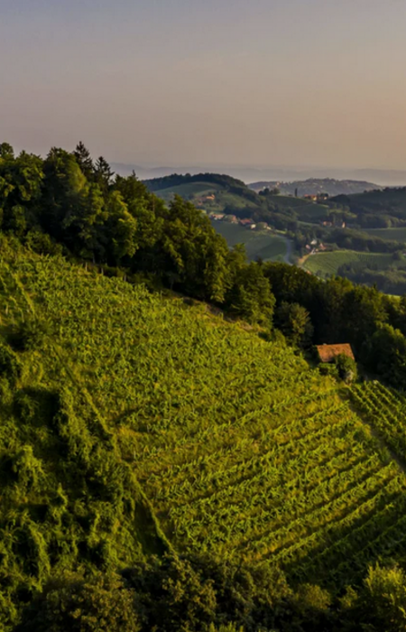 Exploring Styria:  With Winemakers Eswald Tscheppe & Michi Lorenz