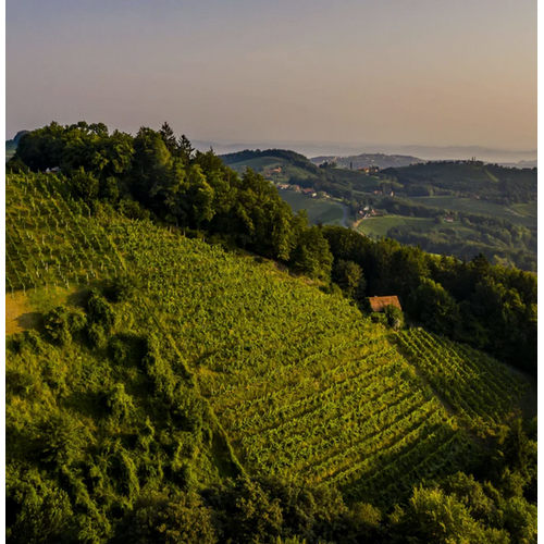 Exploring Styria:  With Winemakers Eswald Tscheppe & Michi Lorenz
