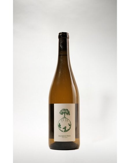 Weingut Werlitsch Weingut Werlitsch, Ex Vero I Steirerland White, 2022, 750 ml