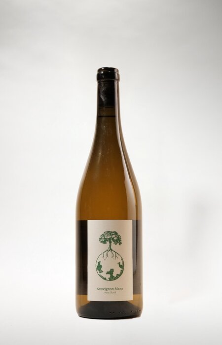 Weingut Werlitsch Weingut Werlitsch, Ex Vero I Steirerland White, 2022, 750 ml