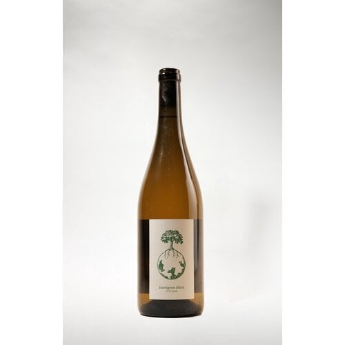 Weingut Werlitsch Weingut Werlitsch, Ex Vero I Steirerland White, 2022, 750 ml