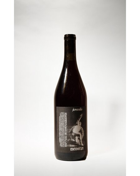 Llewelyn Wine, Juvenilia Red Blend, 2024, 750 ml Llewelyn Wine, Juvenilia Red Blend, 2024, 750 ml