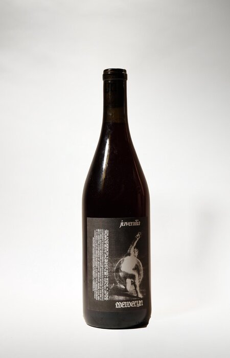 Llewelyn Wine, Juvenilia Red Blend, 2024, 750 ml