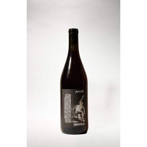 Llewelyn Wine, Juvenilia Red Blend, 2024, 750 ml Llewelyn Wine, Juvenilia Red Blend, 2024, 750 ml