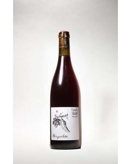 Romuald Valot, Chrysalide, 2024, 750ml