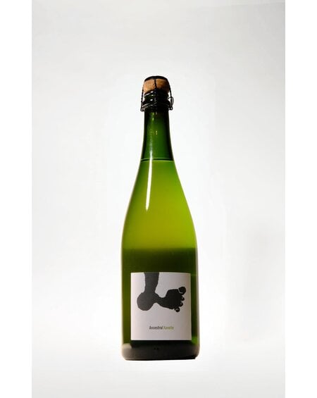 Joan Rubio, Ancestral Penedes Sparkling, 2022, 750 ml
