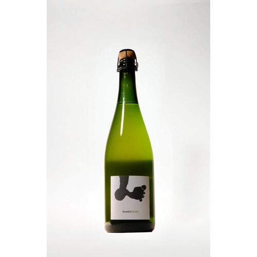 Joan Rubio, Ancestral Penedes Sparkling, 2022, 750 ml