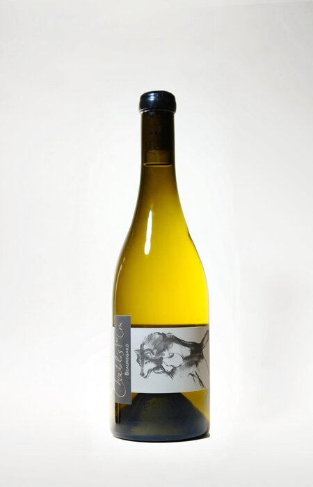 Thomas Pico, Pattes Loup, 1er Cru Chablis 'Beauregard', 2022, 750 ml
