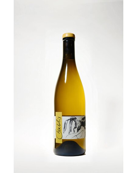 Thomas Pico, Pattes Loup, Vent d'Ange Chablis, 2022, 750ml