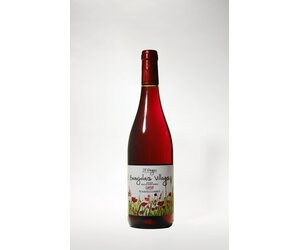 Domaine A. Pegaz, Beaujolais Village Red, 2023, 750 ml - Stranger