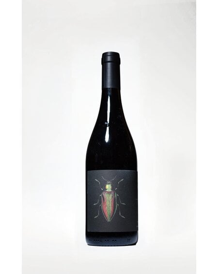 Ledogar, Les Brunelles, Cinsault, 2023, 750 ml
