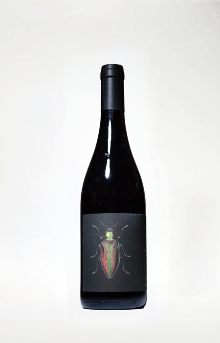Ledogar, Les Brunelles, Cinsault, 2023, 750 ml