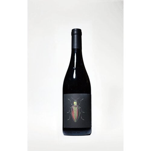 Ledogar, Les Brunelles, Cinsault, 2023, 750 ml