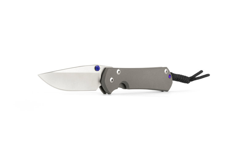 Chris Reeve Knives Chris Reeve Large Sebenza 31 Plain Drop Point(L31-1000)