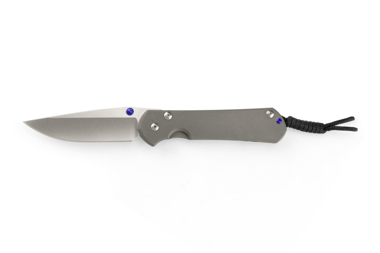 Chris Reeve Knives Chris Reeve Large Sebenza 31 Plain Drop Point(L31-1000)
