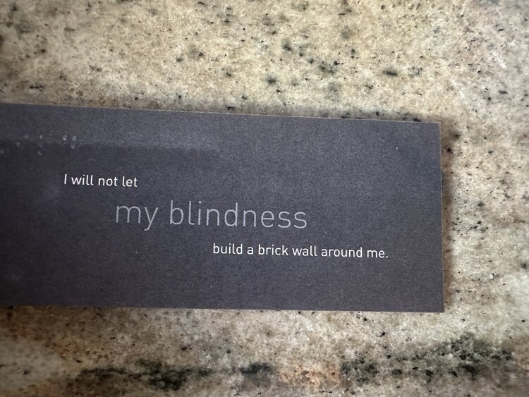 Eone Eone R-EDGE-Mesh