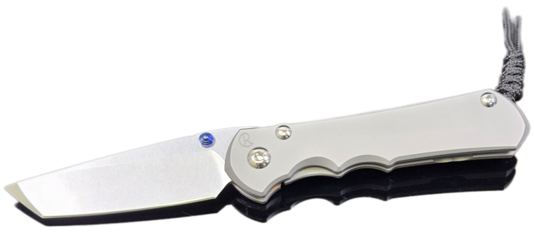 Chris Reeve Knives Chris Reeve Large Inkosi Plain Tanto Glass Blasted Handles (LIN-1130)