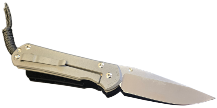 Chris Reeve Knives Chris Reeve Large Sebenza 31 Unique Graphic Artist's Choice W/ Cabochon