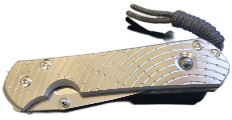 Chris Reeve Knives Chris Reeve Large Sebenza 31 Unique Graphic Artist's Choice W/ Cabochon