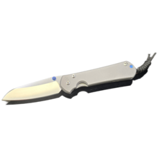 Chris Reeve Knives Chris Reeve Large Sebenza 31 Insingo Blade Glass Blasted Handle (L31-1685)